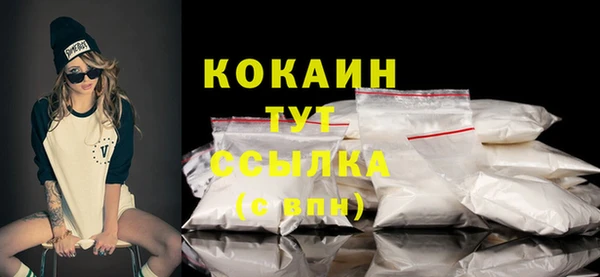 стафф Коряжма