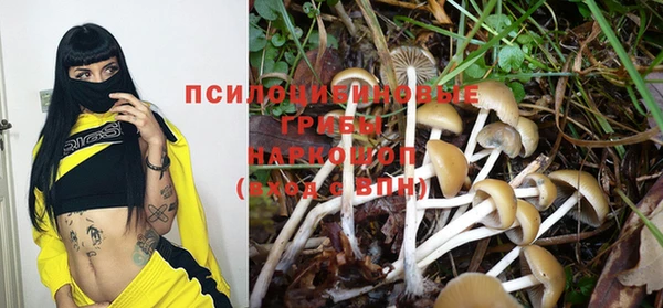 ALPHA PVP Кодинск
