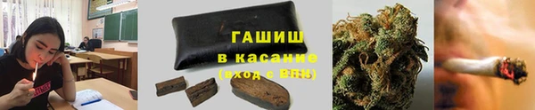 стафф Коряжма